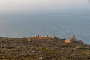 au petit matin de l'île de camping, les rochers et le soleil forment un paysage magnifique photo