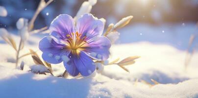 ai généré une neige scène avec une violet fleur est couvert dans neige, photo