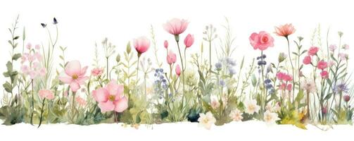 ai généré une aquarelle aquarelle fleurs sauvages frontière avec rose fleurs, photo