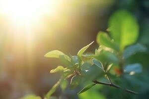 ai généré branche avec vert feuilles dans lumière du soleil, bokeh effet. été Contexte. ai généré photo