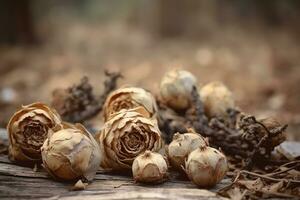 ai généré séché fleurs fermer. l'automne Contexte photo