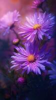 ai généré épanouissement aster fleurs avec gouttes de l'eau fermer Contexte. été fond d'écran. ai généré photo