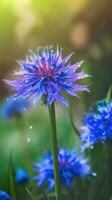 ai généré épanouissement bleuet avec gouttes de l'eau fermer Contexte. ai généré photo