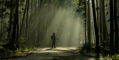 photographe est prise photo tandis que explorant dans le pin forêt pour avec fort rayon de Soleil lumière à l'intérieur le brumeux pin forêt pour la photographie et silhouette photo