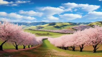 ai généré Cerise fleur paysage photo