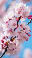 ai généré délicat Cerise fleur arbre, capturer le beauté et élégance de printemps photo