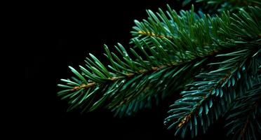 ai généré Suisse sapin Noël arbre isolé sur foncé Contexte Noël arbre photo