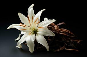 ai généré un élégant fleur avec vanille des haricots sur une noir table Haut photo