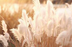 ai généré herbe avec blanc fleurit est dans le soir lumière du soleil photo