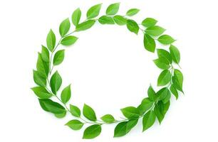 ai généré circulaire arrangement de feuilles sur blanc Contexte vert feuilles photo