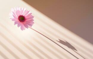 ai généré un fleur à le centre de une bureau avec ses ombre photo