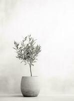 ai généré vert olive arbre dans pot sur blanc mur photo