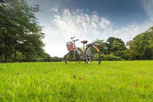 vélos dans le parc photo