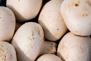 une proche en haut de une pile de blanc champignons photo