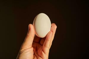 blanc poulet Oeuf dans une femme main. photo