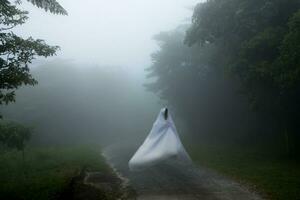 blanc fantôme sur le route dans le forêt avec brume. photo