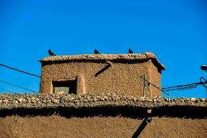 des oiseaux sur le toit de une boue maison dans Maroc photo