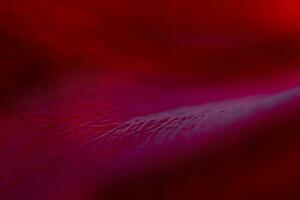 abstrait naturel, rouge Contexte. macro de rouge Rose pétales. photo
