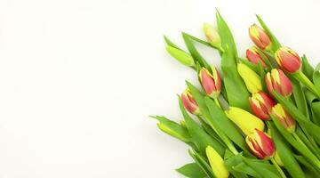 bouquet de tulipes sur une blanc arrière-plan, copie espace. de la mère journée photo