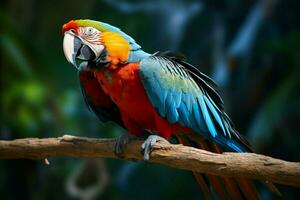 ai généré étourdissant ara mettant en valeur ses vibrant et coloré plumage ai généré photo