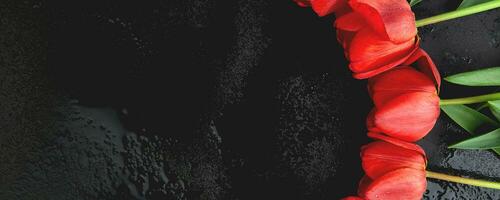 bannière avec Frais rouge tulipes sur noir Contexte. une bouquet de printemps fleurs, magnifique salutation carte. photo