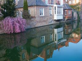 une rivière avec une arbre dans le milieu photo