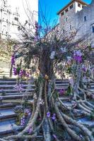 festival des fleurs à girona temps de flors, espagne. 2018 photo