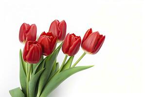 ai généré rouge tulipes isolé sur blanc Contexte. ai généré photo