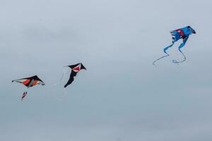 cerf-volant volant dans le ciel photo