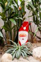 en bois Père Noël claus figure entouré par cactus. Noël saison atmosphère. photo