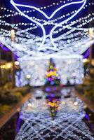 flou images de nourriture nuit marché des rues fête dans le parc, bokeh lumière, et ancien Festival Contexte. photo