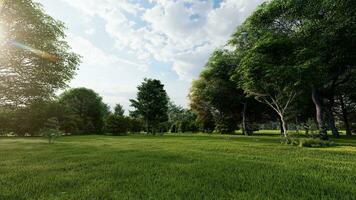 ai généré magnifique Matin lumière dans Publique parc avec vert herbe champ photo