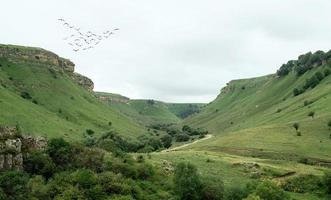 belles collines et montagnes verdoyantes photo