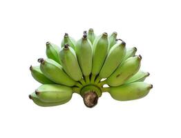 banane vert un bouquet sur blanc Contexte photo