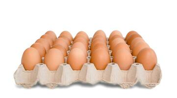 Oeuf plateau avec Frais marron des œufs isolé sur blanc arrière-plan, coupure chemin. Frais biologique poulet des œufs dans carton boîte. photo