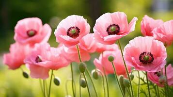 ai généré une grappe de rose coquelicots avec une flou vert Contexte et copie espace à le droite photo