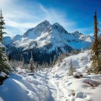 ai généré hiver randonnées dans le montagnes photo