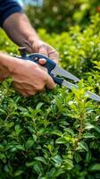 ai généré jardinier taille une buisson avec une paire de cisailles photo