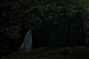 faible clé image une brouiller blanc fantôme en dessous de gros arbre dans ancien forêt. photo