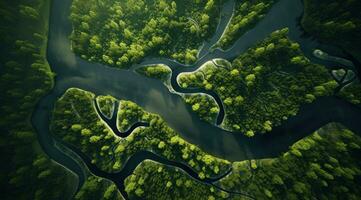 ai généré aérien vue de une rivière écoulement dans milieu de une forêt, photo