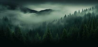 ai généré une brumeux forêt dans le brouillard, photo