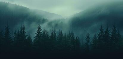 ai généré une brumeux forêt dans le brouillard, photo