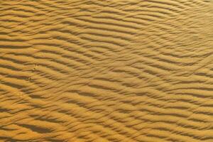 le sable dunes texture photo