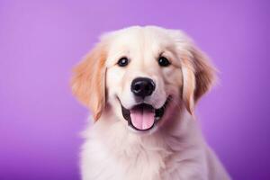 ai généré une fermer portrait de une d'or retriever chiot sur une violet Contexte photo