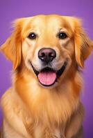 ai généré une fermer portrait de une d'or retriever chiot sur une violet Contexte photo