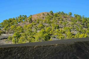 une Montagne avec des arbres sur Haut et une le sable dune photo