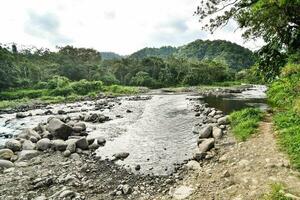 une rivière fonctionnement par le jungle photo