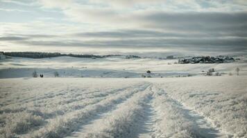 ai généré détail le culturel importance de une pur blanc hiver paysage dans différent sociétés. photo