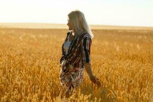 une fille dans le milieu de blé épillets. caucasien femme posant avec épillets dehors. photo