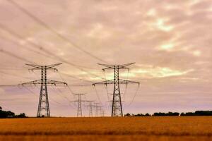 électricité pylônes dans une champ photo